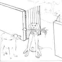 cartoon_012