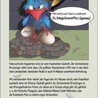 signal-2024-01-01-19-27-21-463