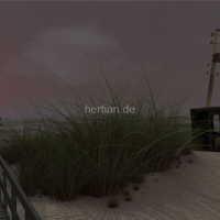 Duenenlandschaft-scaled-2