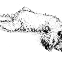 zeichnung_007-DOG-